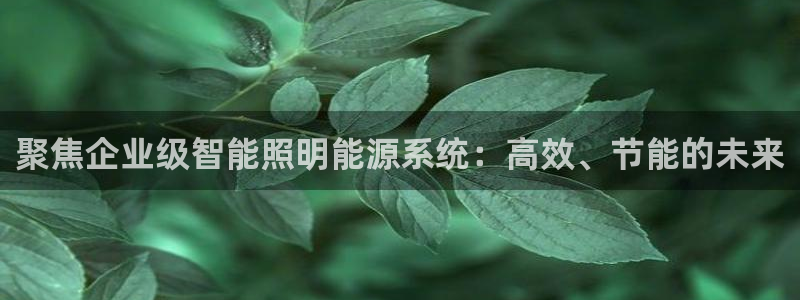 聚焦企业级智能照明能源系统:高效、节能的
